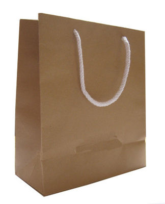 Cadeau marqué de achat réutilisé de sacs en papier OPP de impression fait sur commande 350 GSM à extrémité élevé